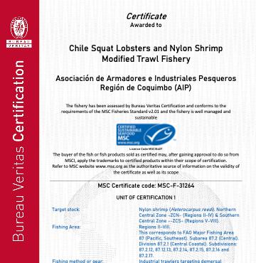 MSC Certificate