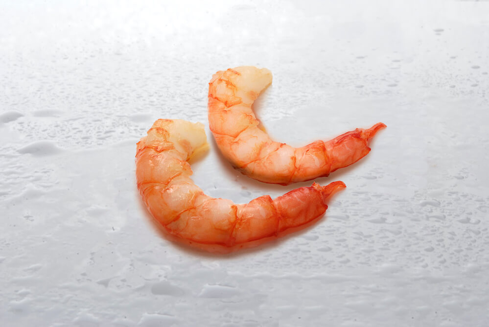 Gamba