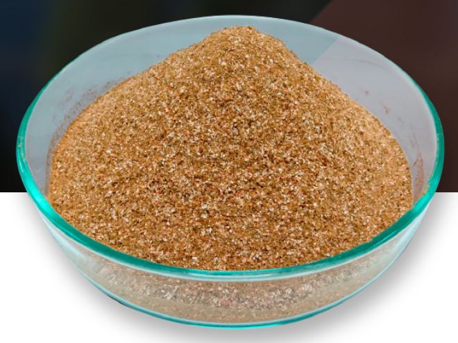 Shrimp Meal